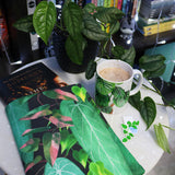 Leafy Jungle | Book Sleeve