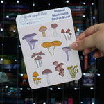 Magical Mushrooms | Sticker Sheet